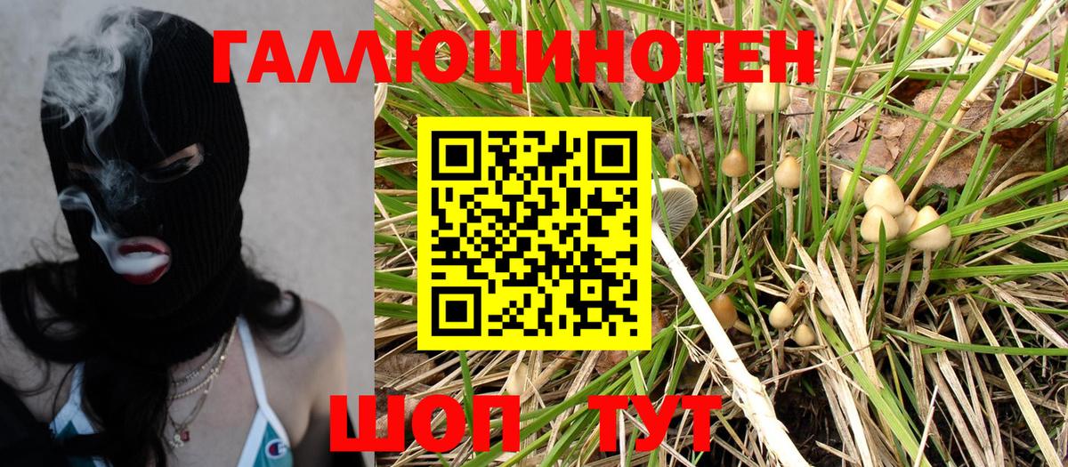 Псилоцибиновые грибы Psilocybe  Галлюциногенные грибы Psilocybe  Вход с VPN  Бахчисарай 