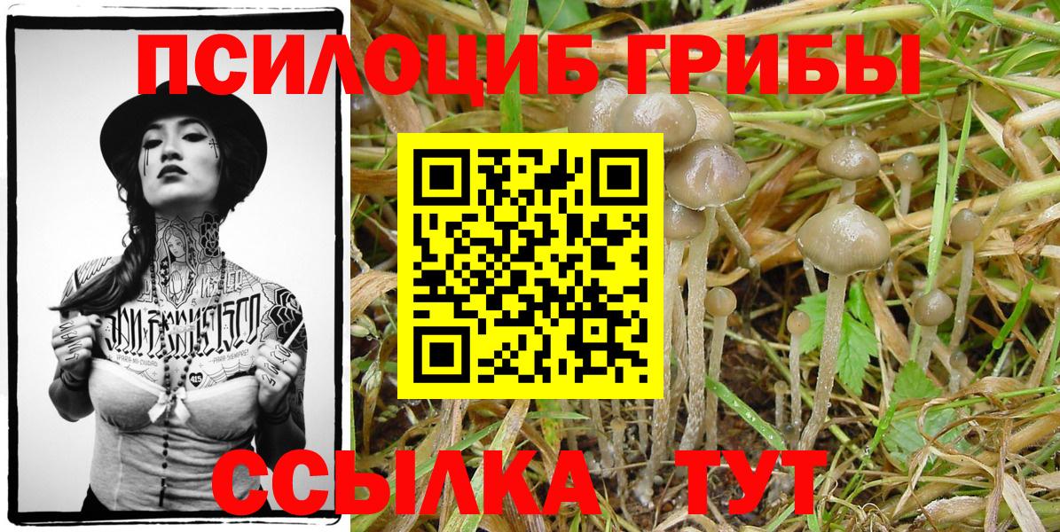 Галлюциногенные грибы GOLDEN TEACHER Бахчисарай